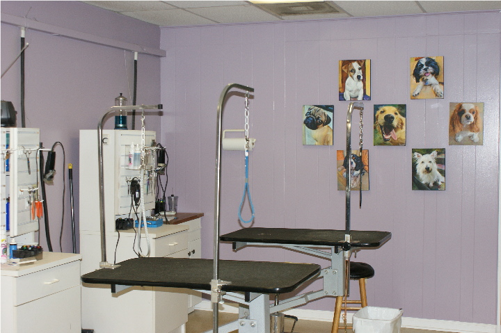 Grooming Area